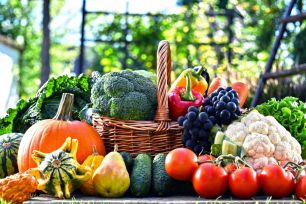 СИБИРСКИЙ САДОВОД - семена овощей, цветов, удобрения, инвентарь