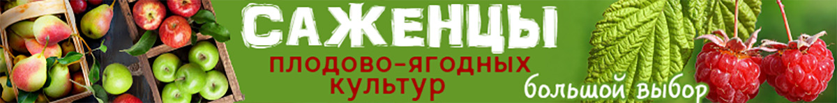 Главная банер в шапке саженцы до 1.02