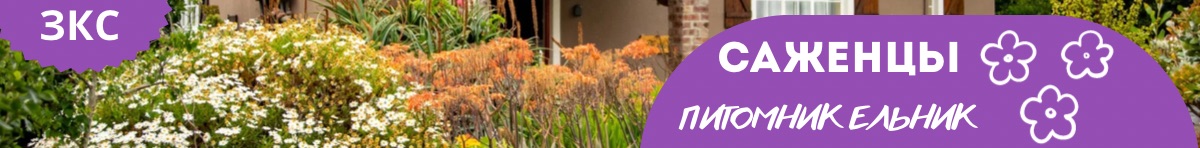 Главная банер в шапке 1270*60 ельник