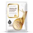 Восстанавливающая маска с фильтратом улитки и Алоэ вера Rorec (HCHANA) Snail Mask