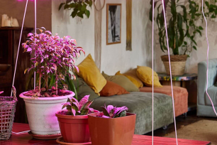 ФИТОЛАМПЫ И АКСЕССУАРЫ ДЛЯ ВАШТХ РАСТЕНИЙ!!!